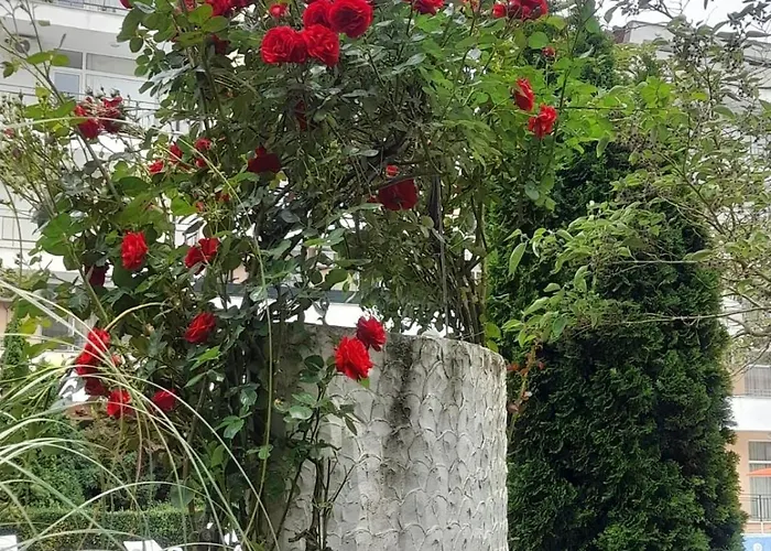 Lovely 3 New Furnished Kamelia Sunny