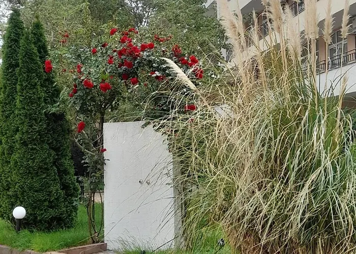 Apartment Lovely 3 New Furnished Kamelia Sunny